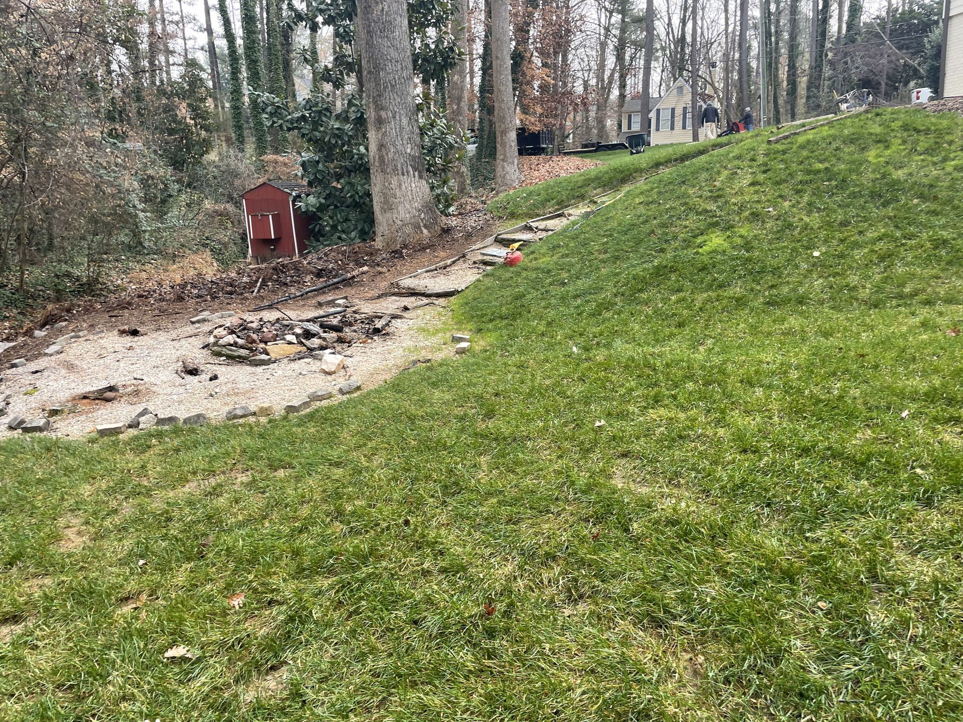 A lush green lawn with trees in the background.