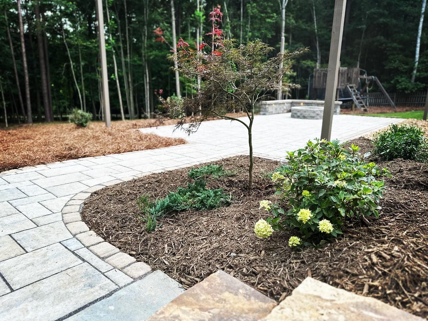 A patio with a tree in the middle of it