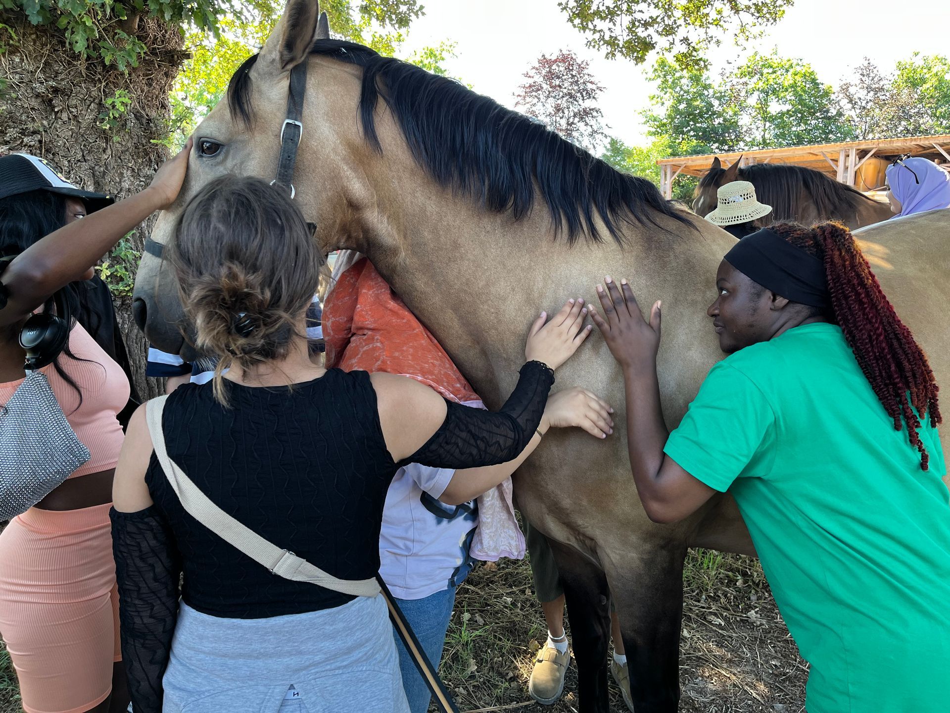 Set amongst a Breton horse-herd  join us for a transformative journey in Brittany, France