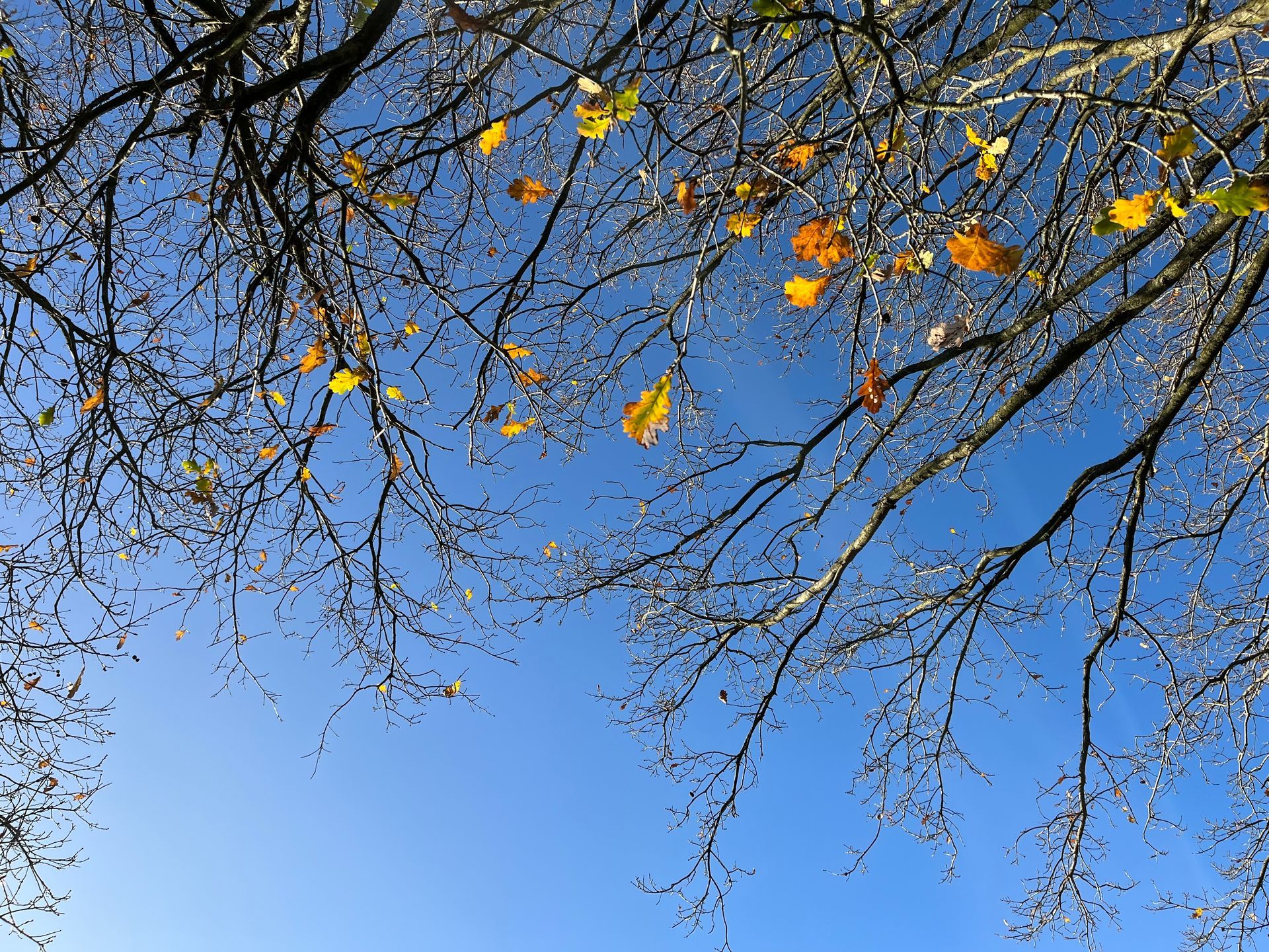 Saturday 10th of January 2026 at KenKon in Wageningen