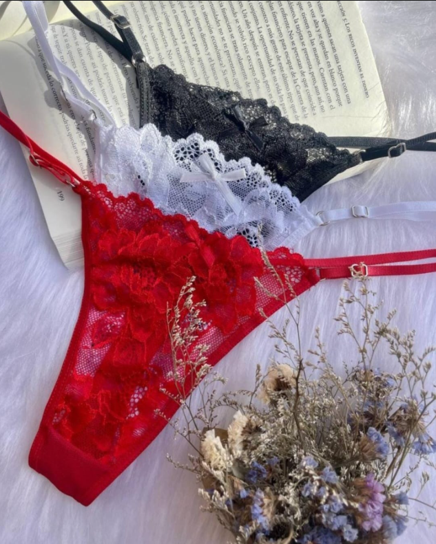 Tres tangas de encaje: roja, blanca y negra, arregladas con un libro y flores secas.