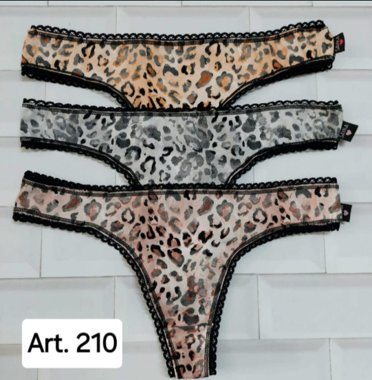 Articulo 210 LLES Sayka