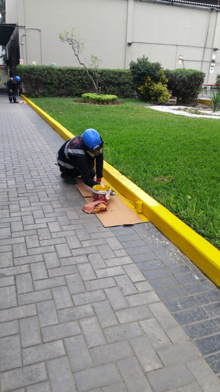 Persona arrodillada, pintando de amarillo el bordillo junto al césped y la pasarela de ladrillos.