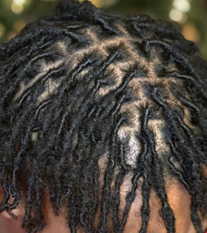 Close-up of black locs with visible scalp, dark in color, starting from the scalp.