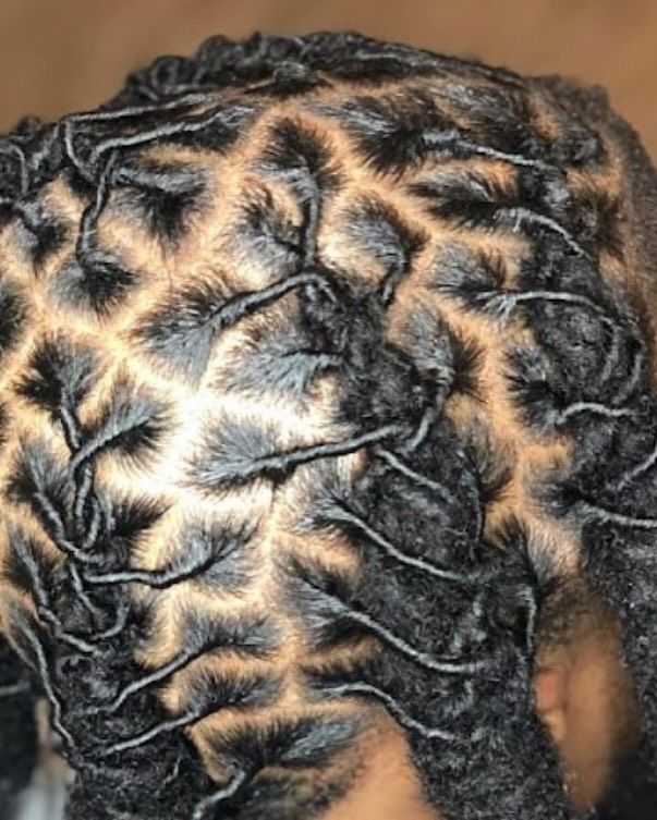 Close-up of dark hair styled with a geometric grid pattern of locs.