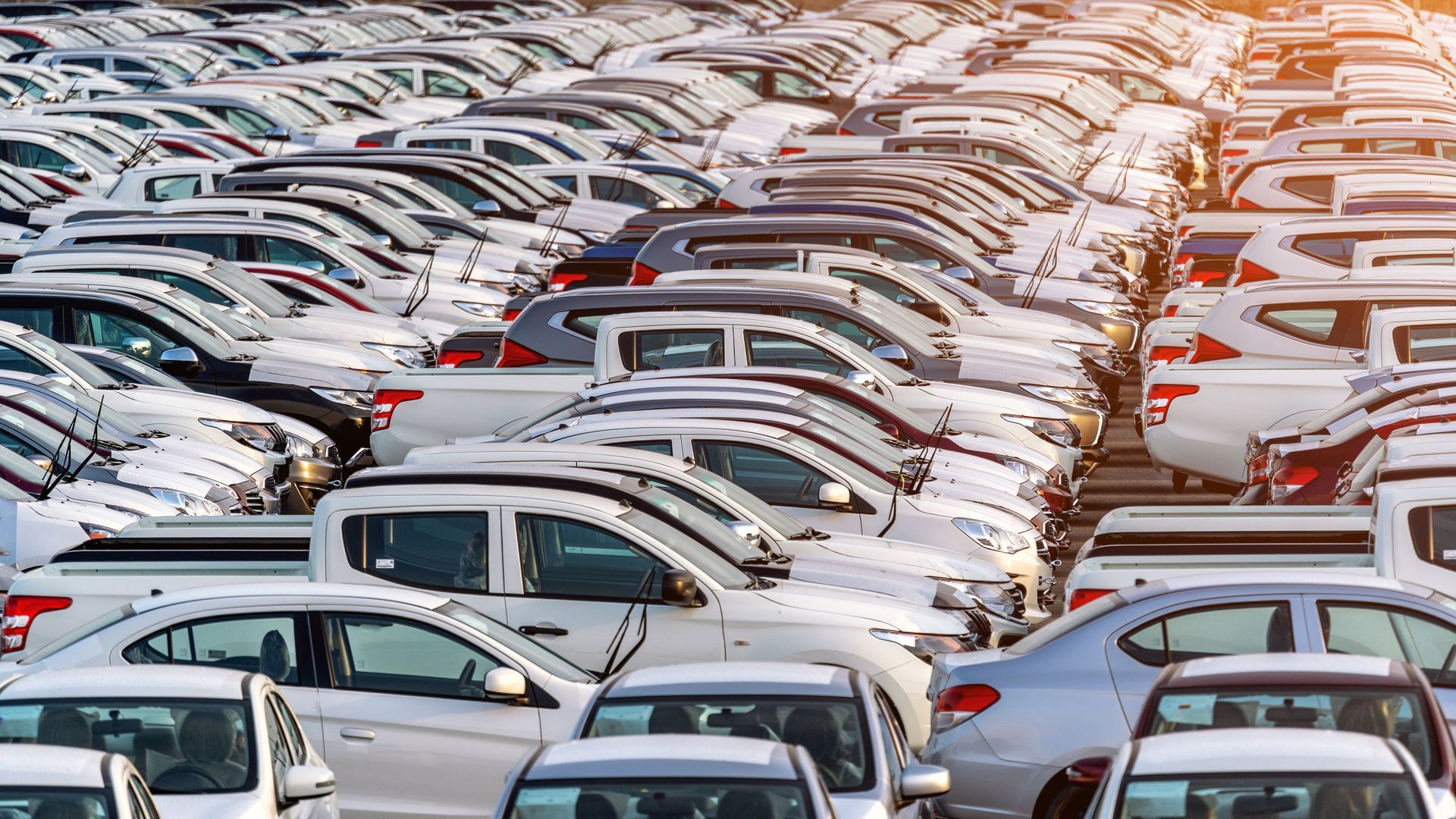 preparación de lotes de carros para importación 