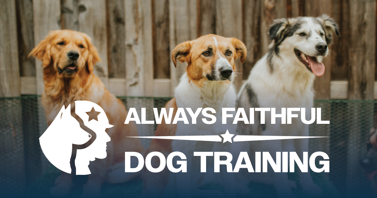 Franchise Location by State Always Faithful Dog Training