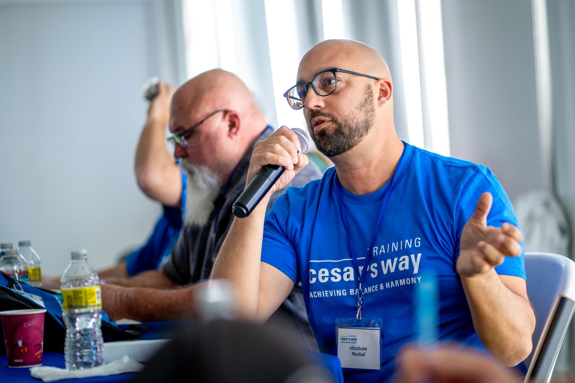People walking dogs on a path outdoors on a sunny day.