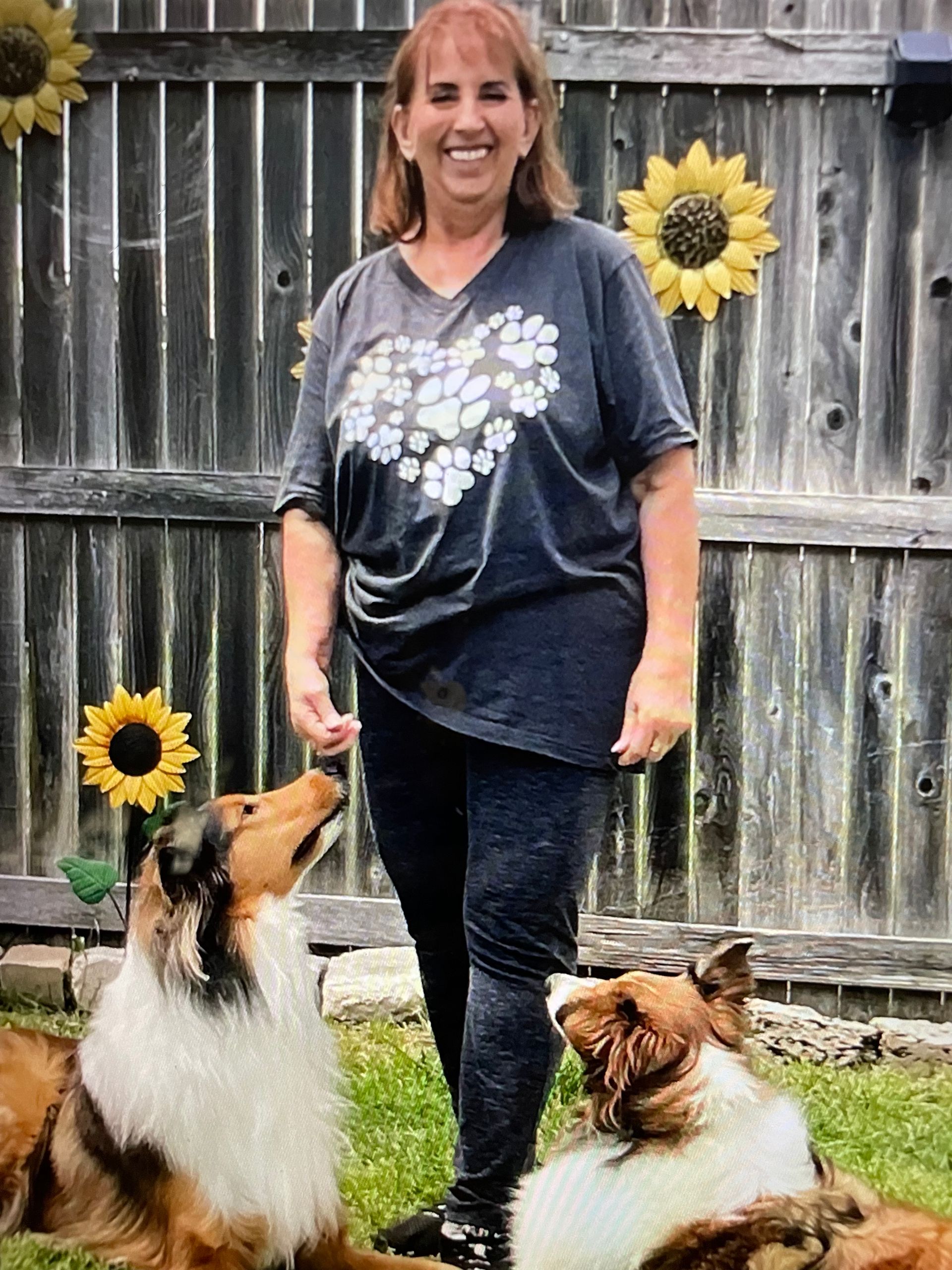 A woman is standing next to two dogs in front of a wooden fence.