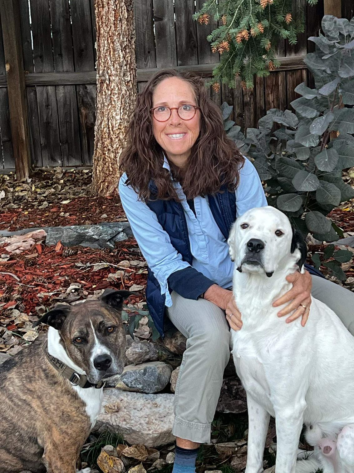 Woman sitting with two dogs in an outdoor setting. The white dog is sitting, the other is lying.