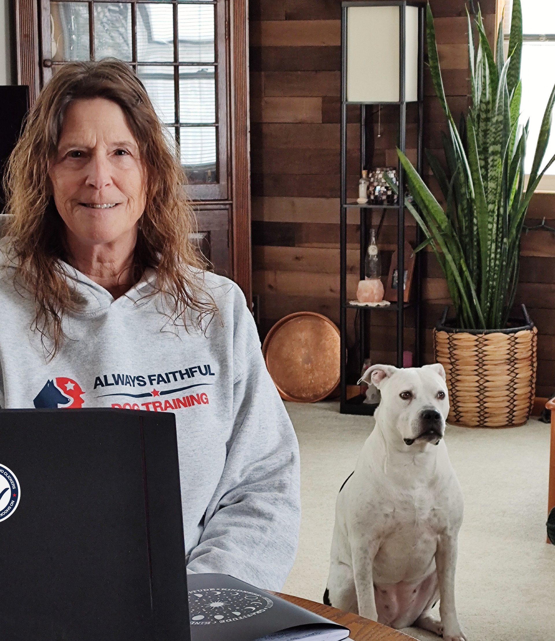 White service dog wearing a harness assists a person in a wheelchair outdoors.