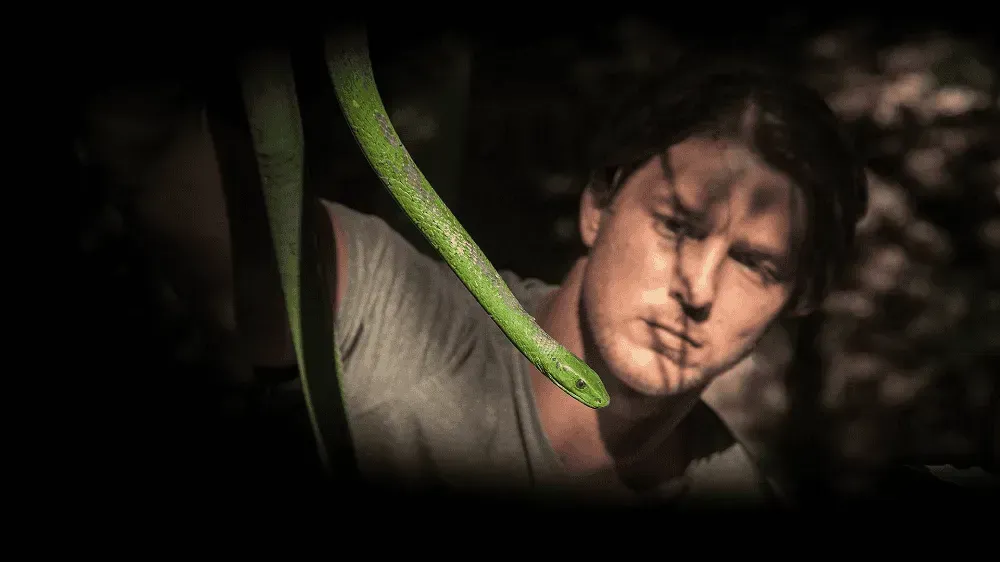 German Shepherd dog resting in wooden doghouse, tongue out, in a backyard setting.