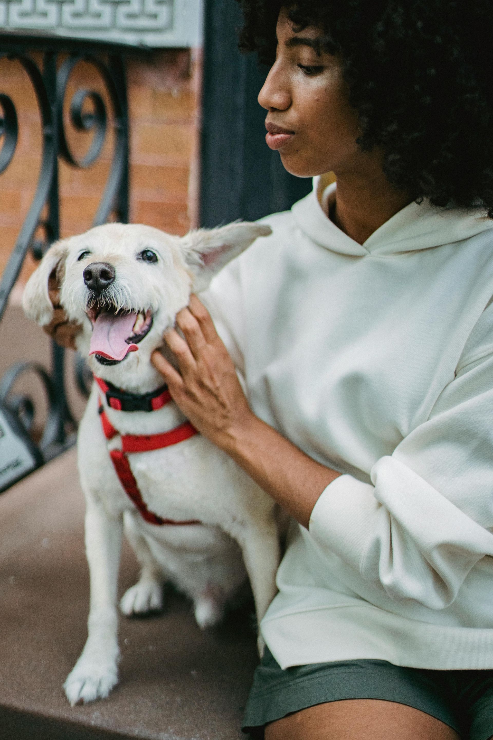 A woman is petting a white dog on a porch.