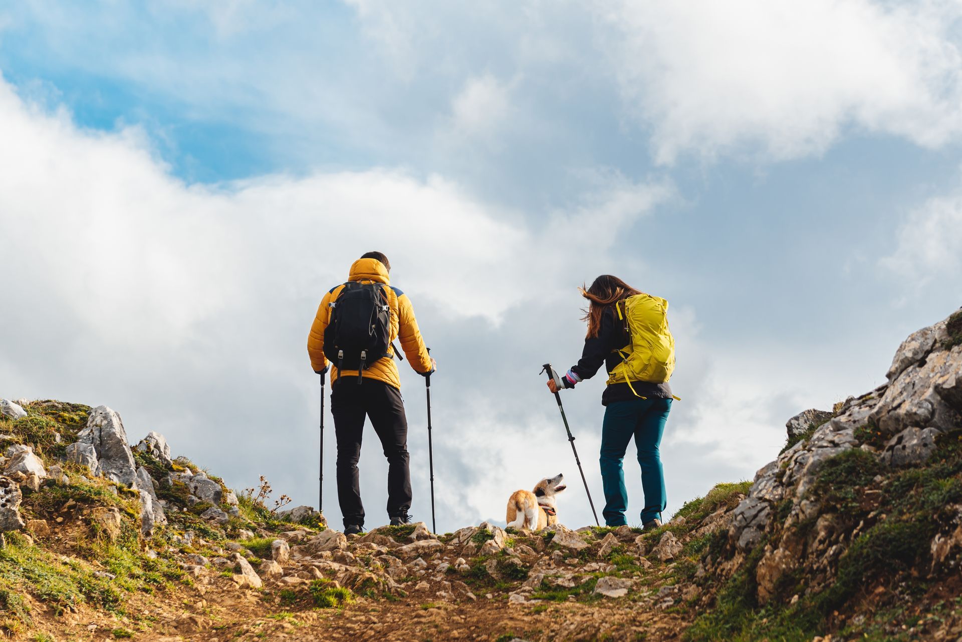 A man and a woman are hiking with their dog on a mountain.