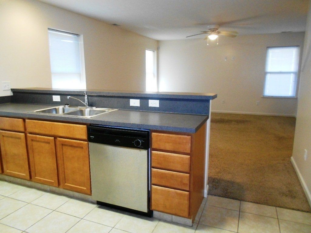 31-wilcox-st- Kitchen with dish washer