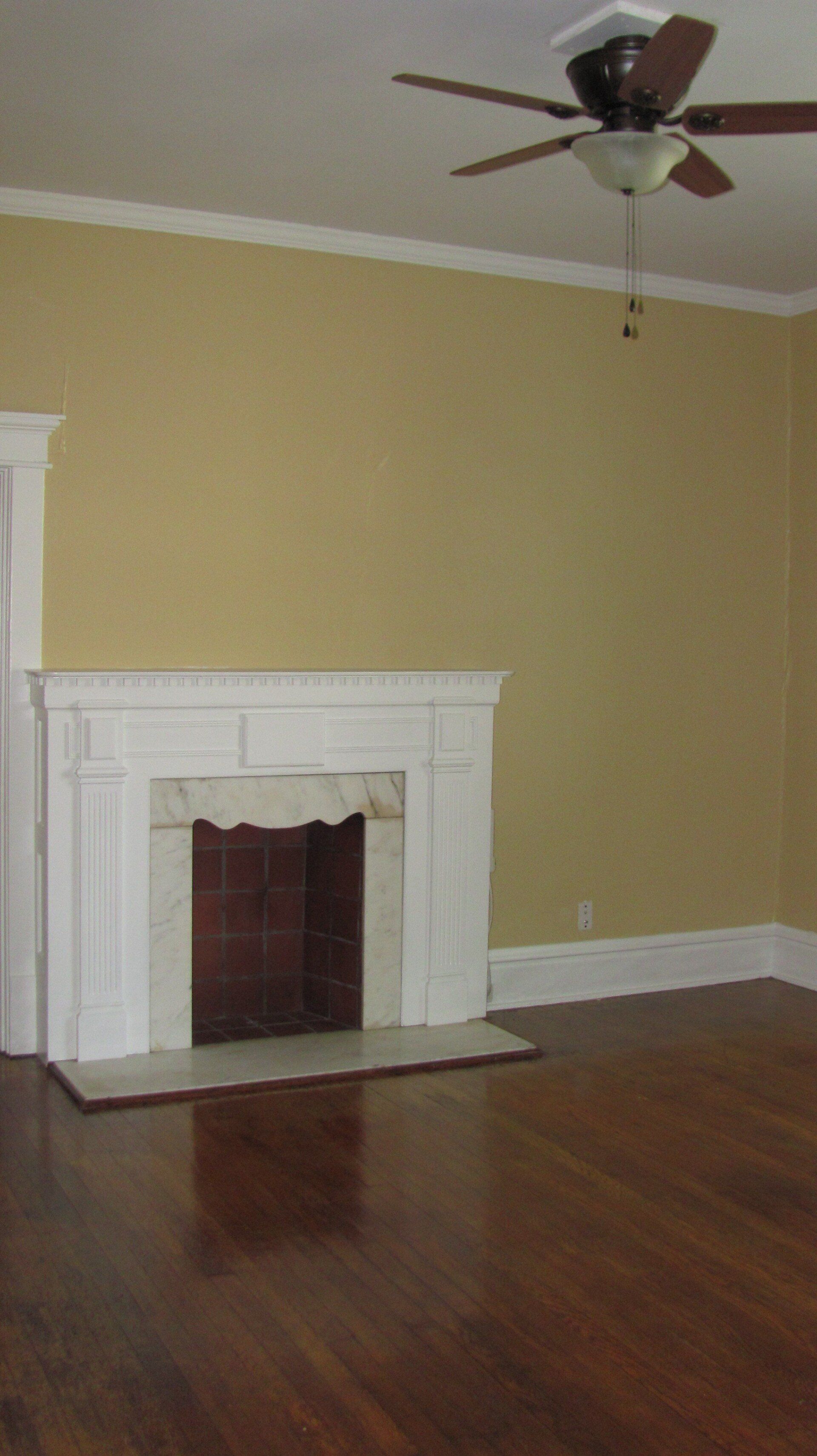 55 W. Oakland Ave fireplace