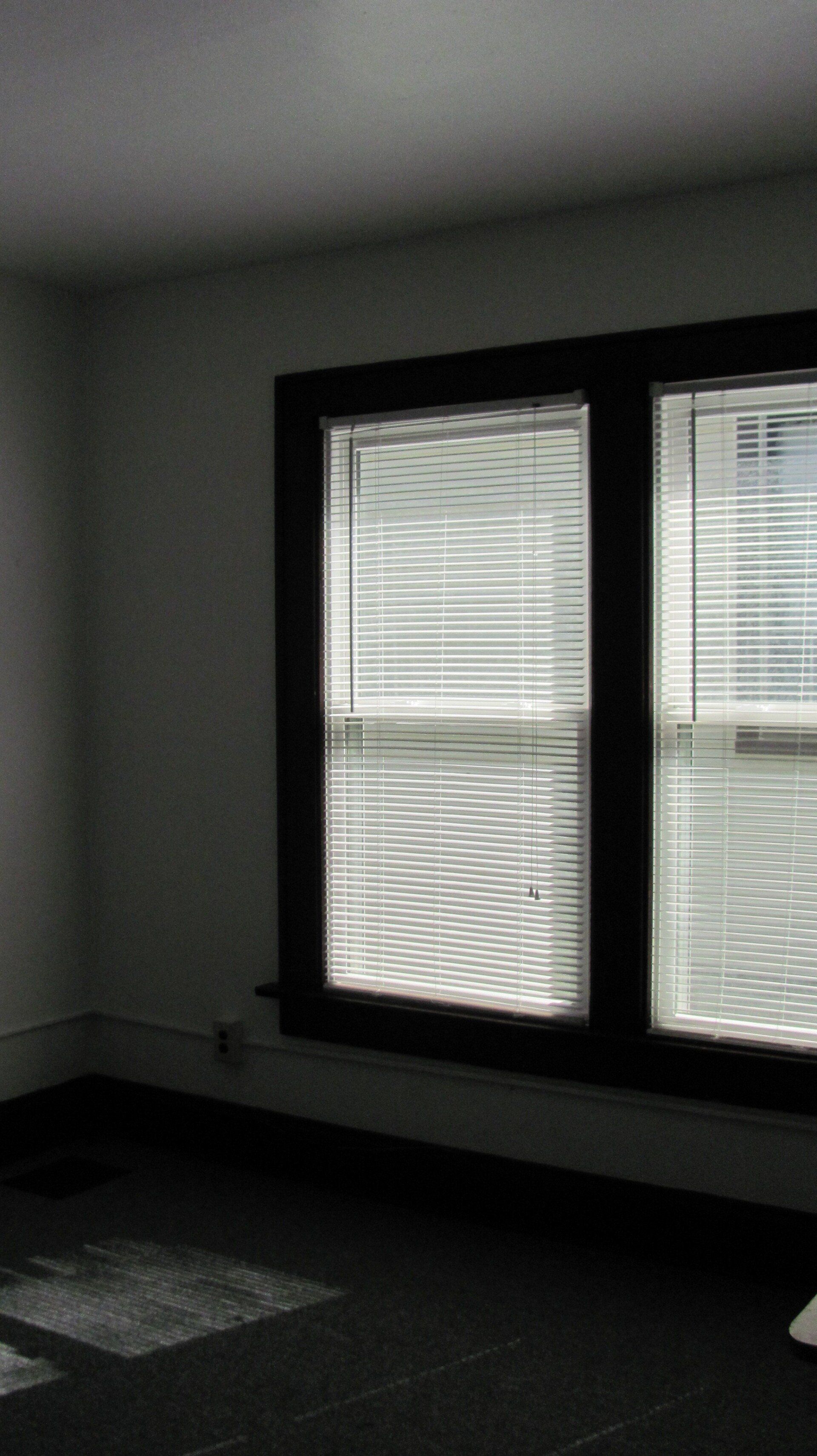 65-67 W. Oakland Ave unit windows