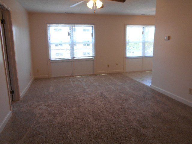 windows at 150-161 W. Maynard (TH)