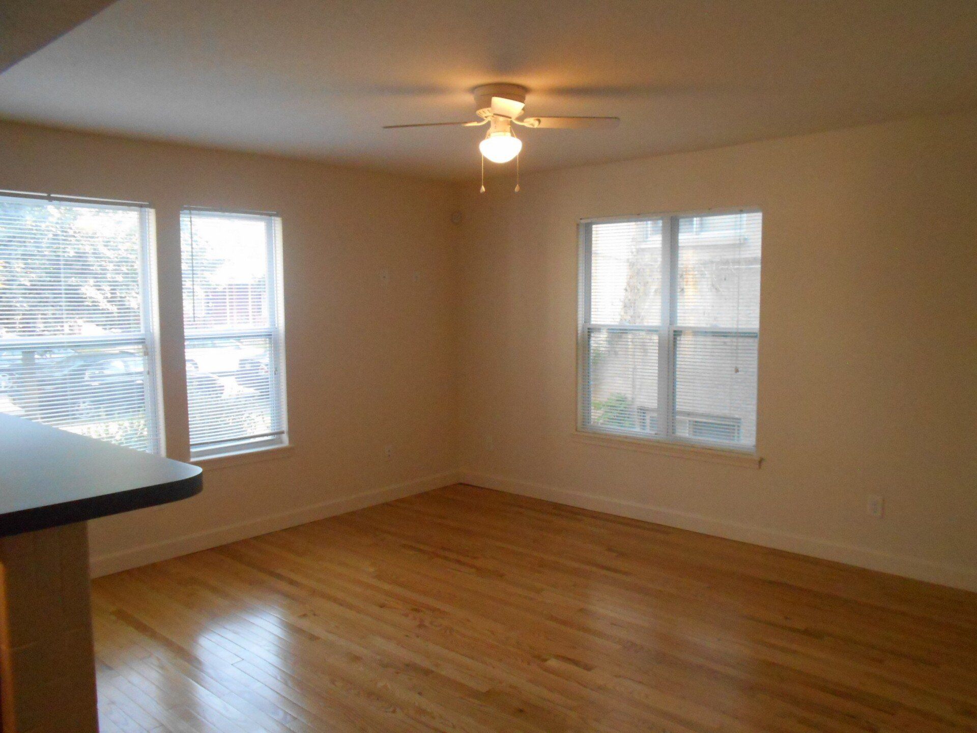 44 W. 9th Ave. - Living Room