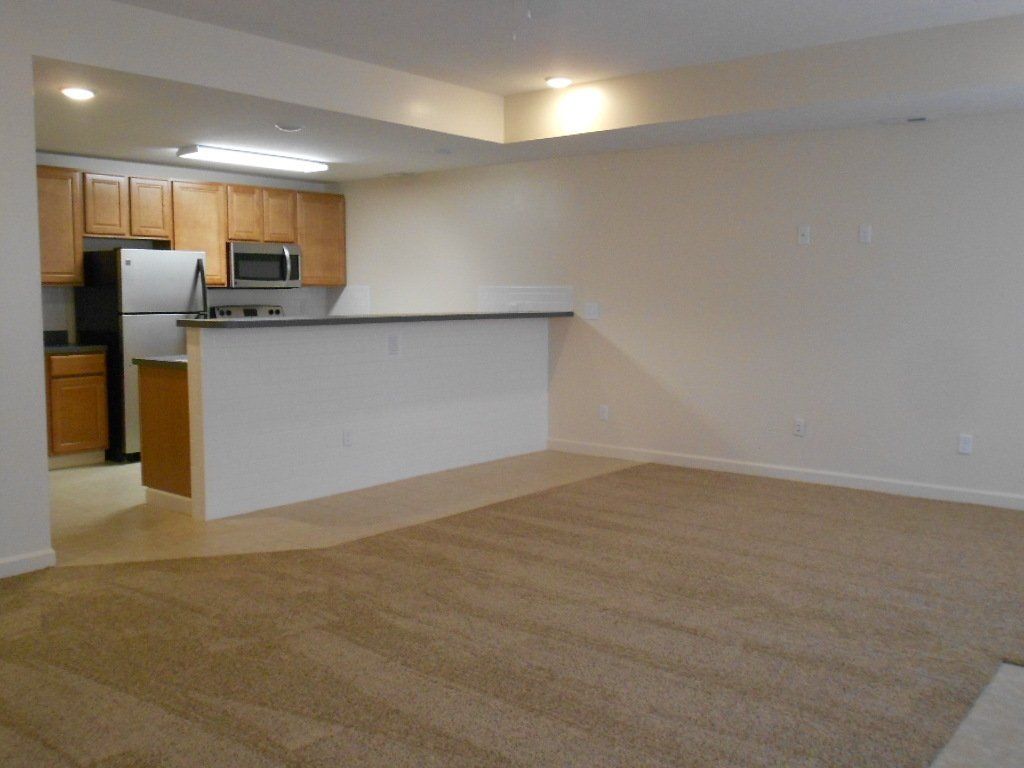 437 E. 16th Ave. - Living Room and Kitchen