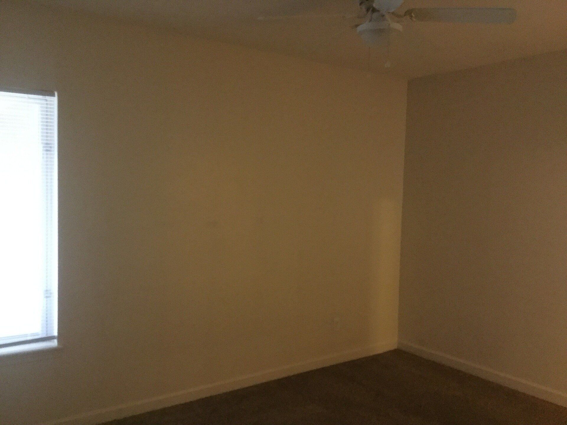 112 E. 11th Ave living