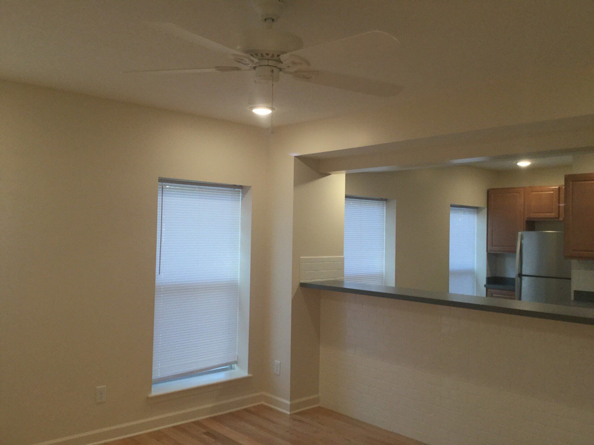 109 E. 11th Ave living