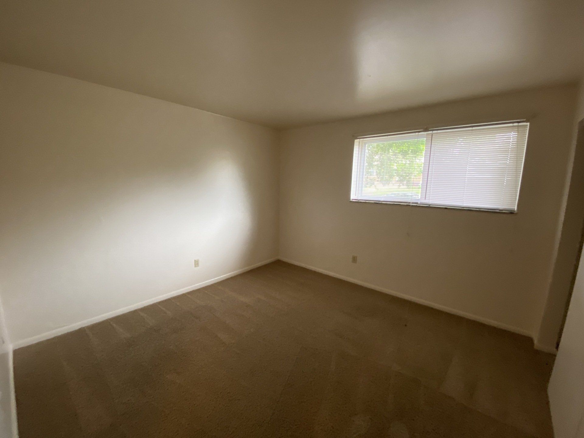 311 E. 16th Ave interior 5