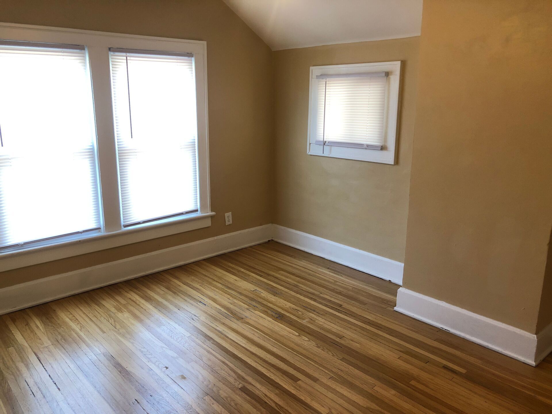 51 W. Oakland Ave bedroom windows