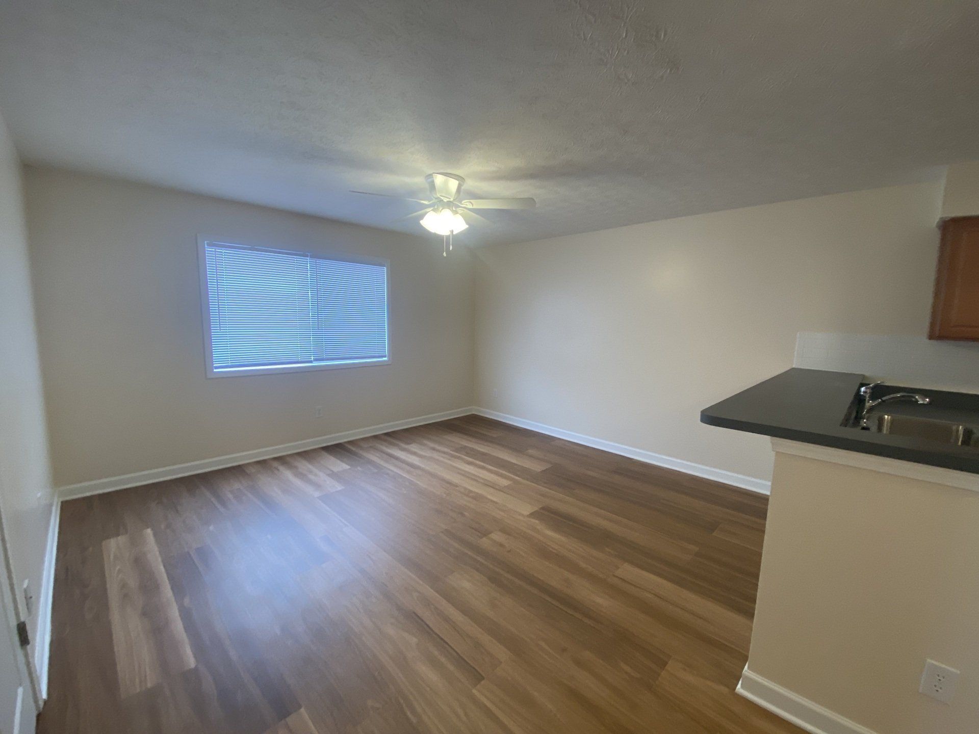 130 W. Maynard - Living Room Apt 2A 02
