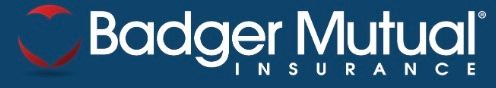 Badger Mutual Insurance logo with red heart-like emblem and white text on a blue background.