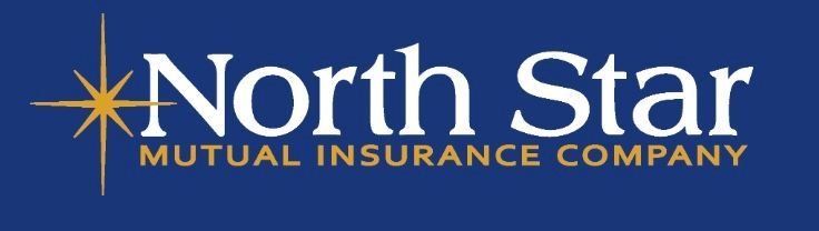 North Star Mutual Insurance Company logo on a blue background; a star graphic is on the left.