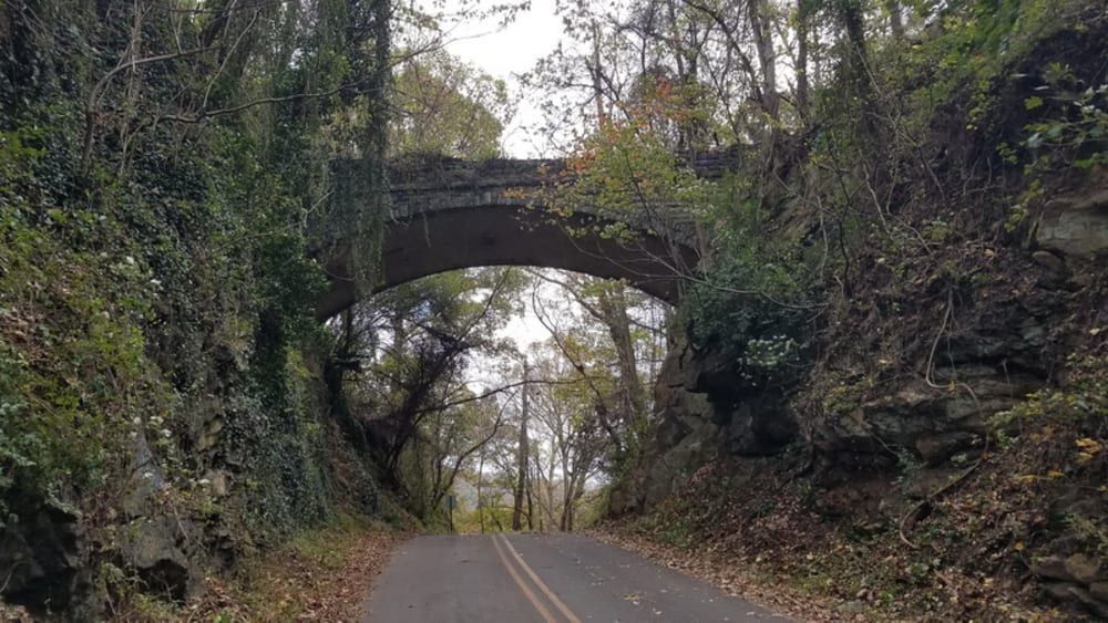 Road beneath an arched stone bridge covered in vines and surrounded by trees.