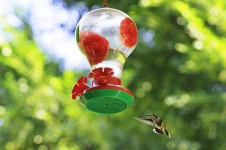 Hummingbird flying toward red and green feeder filled with nectar, set against blurred green foliage.