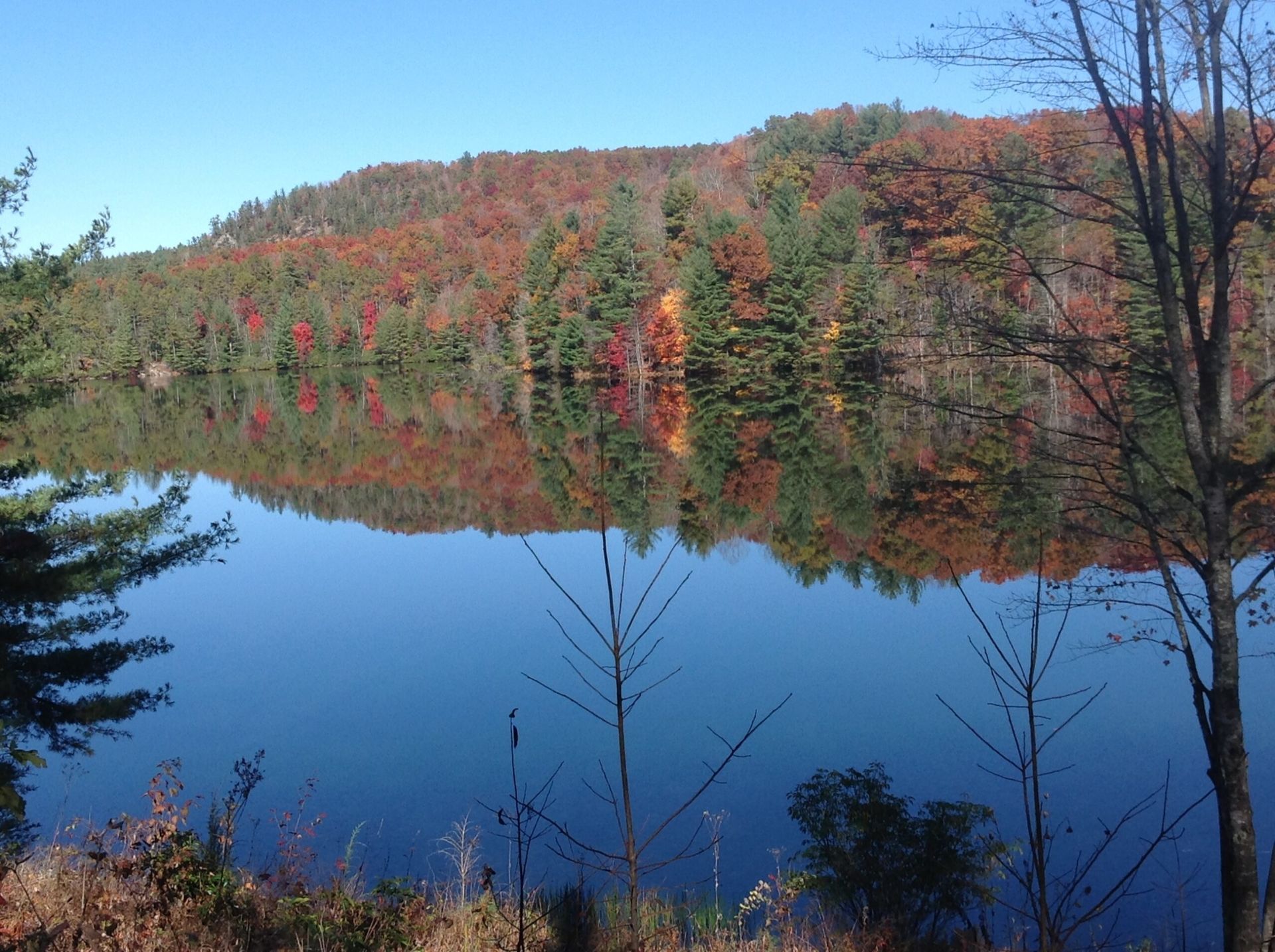 A calm lake reflects a forested hillside with colorful autumn foliage under a blue sky.