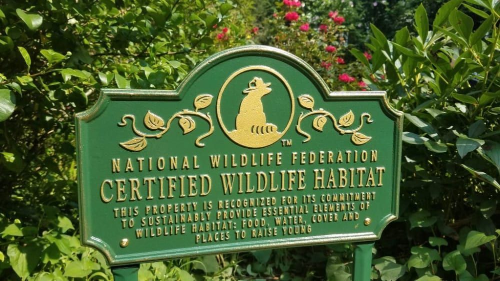 Green sign: National Wildlife Federation Certified Wildlife Habitat with bear logo, in a garden.