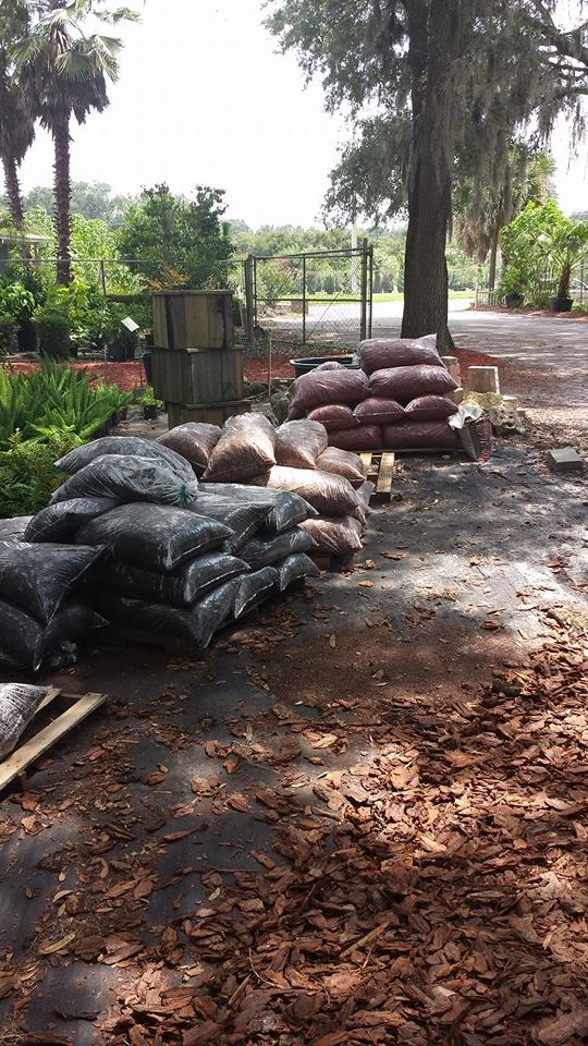 Landscaping Blooming House Nursery Gainesville, FL