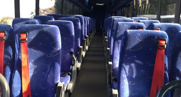 Minibuses and coaches