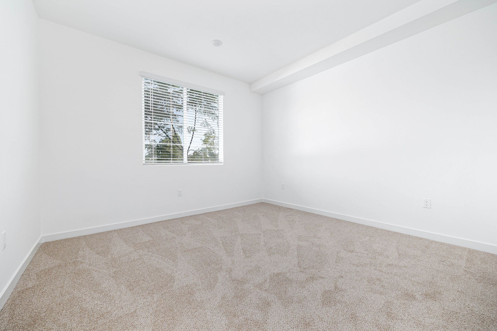 an empty bedroom with a window and carpet .