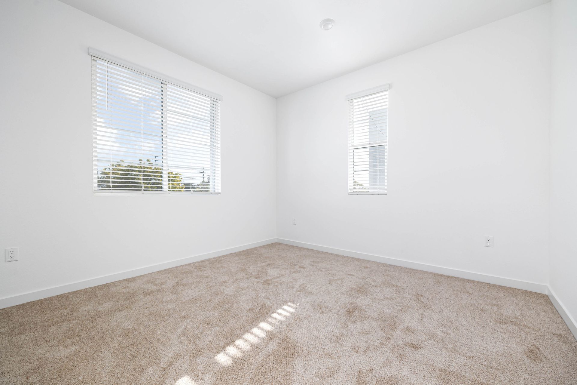 an empty bedroom with two windows and a carpeted floor .