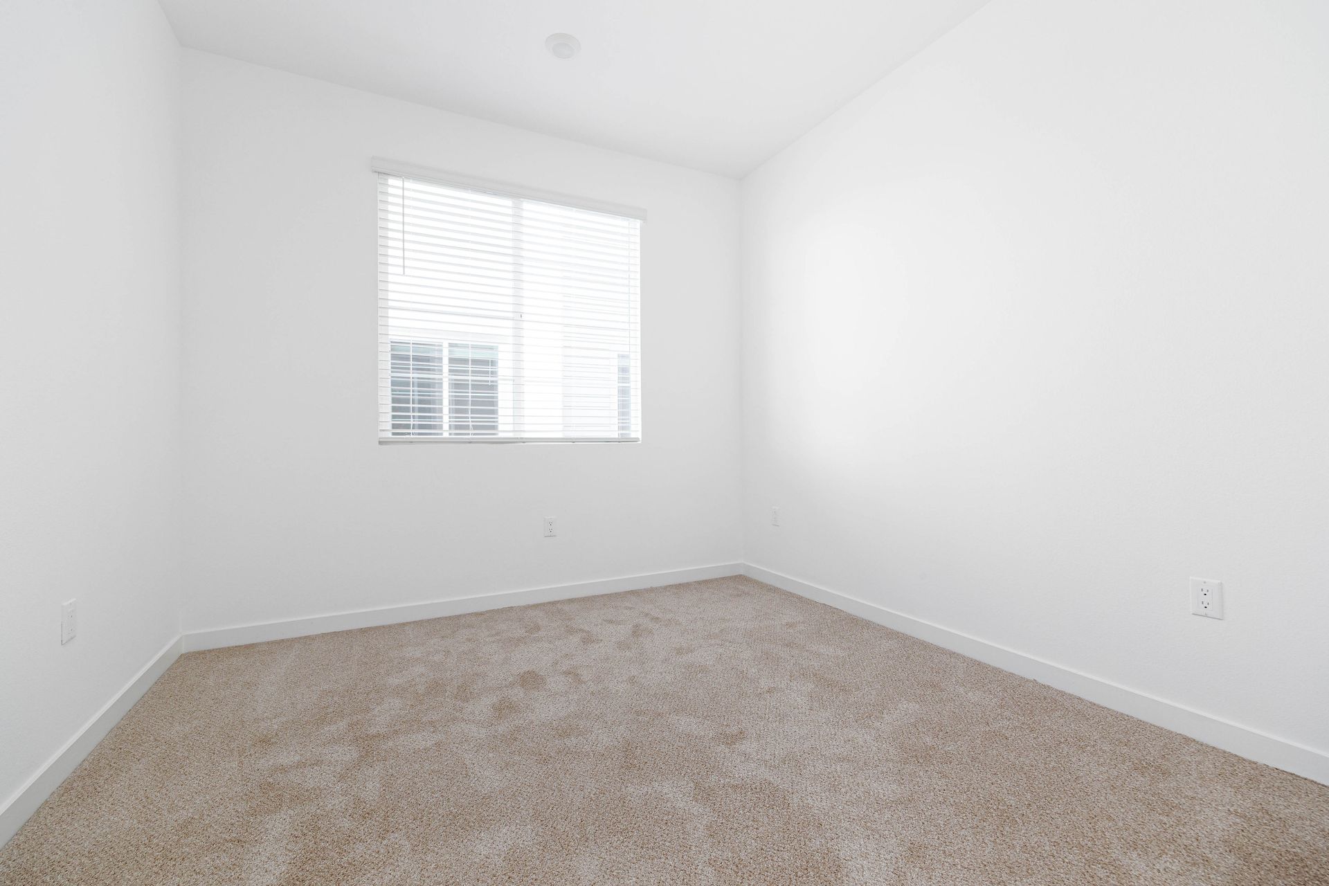an empty bedroom with a window and carpet .