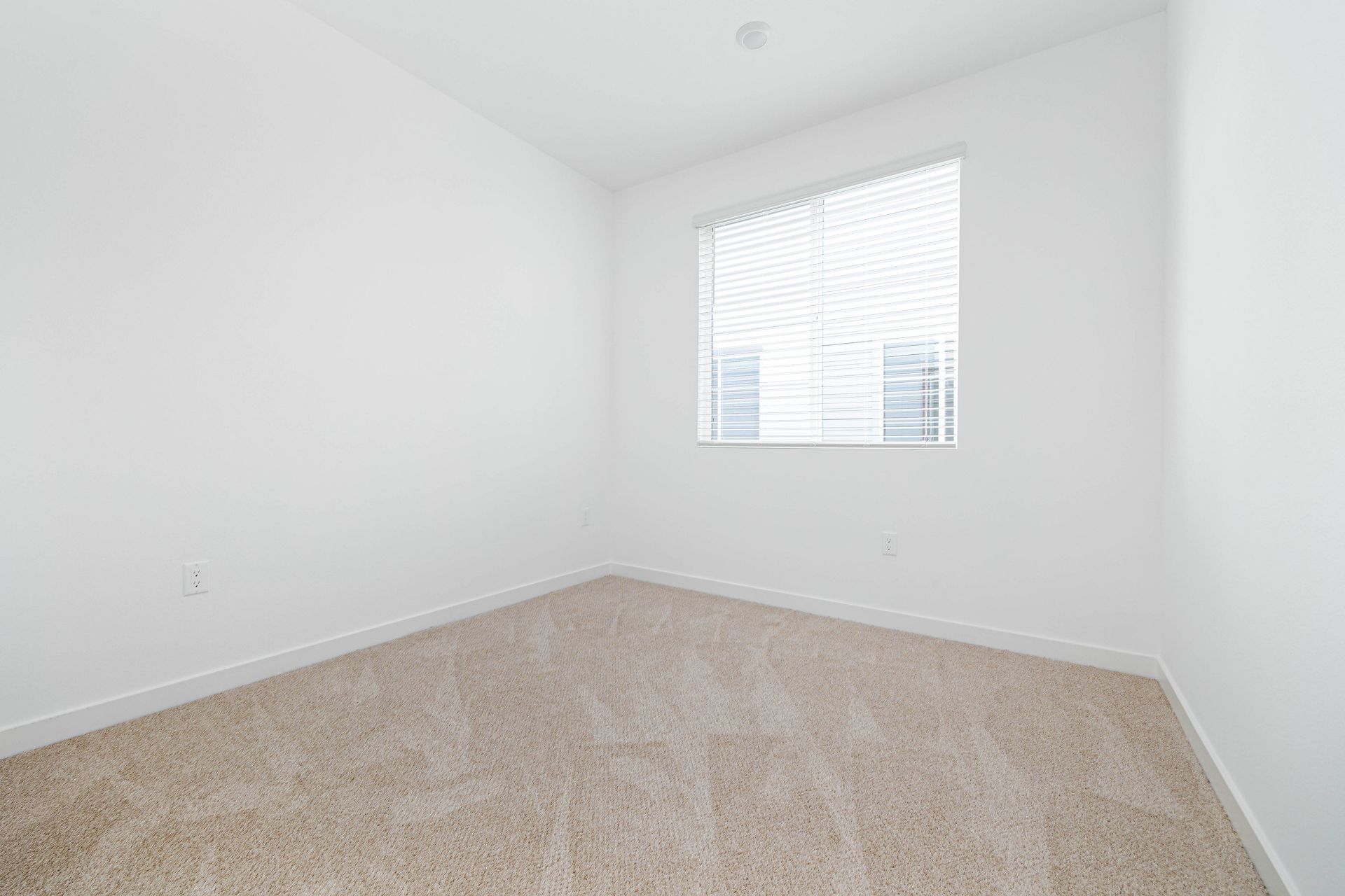an empty bedroom with a window and carpet .
