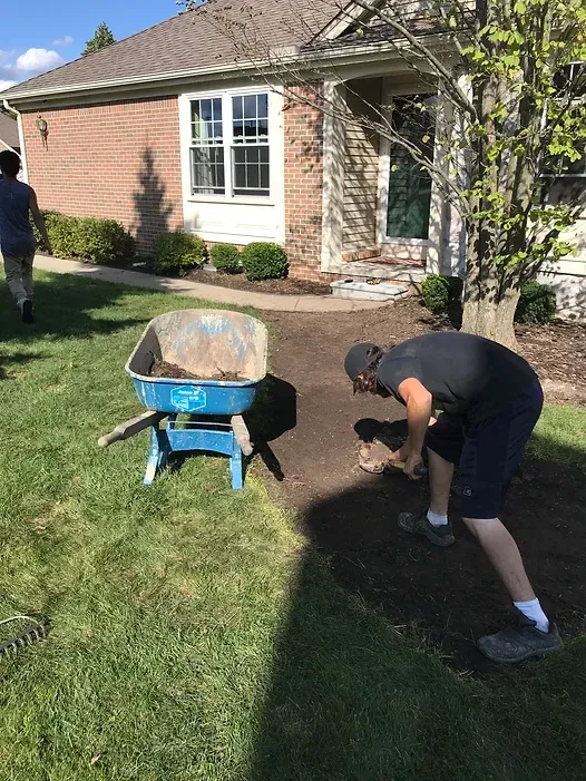 Person shoveling soil in a flowerbed near a brick house, a wheelbarrow is nearby.