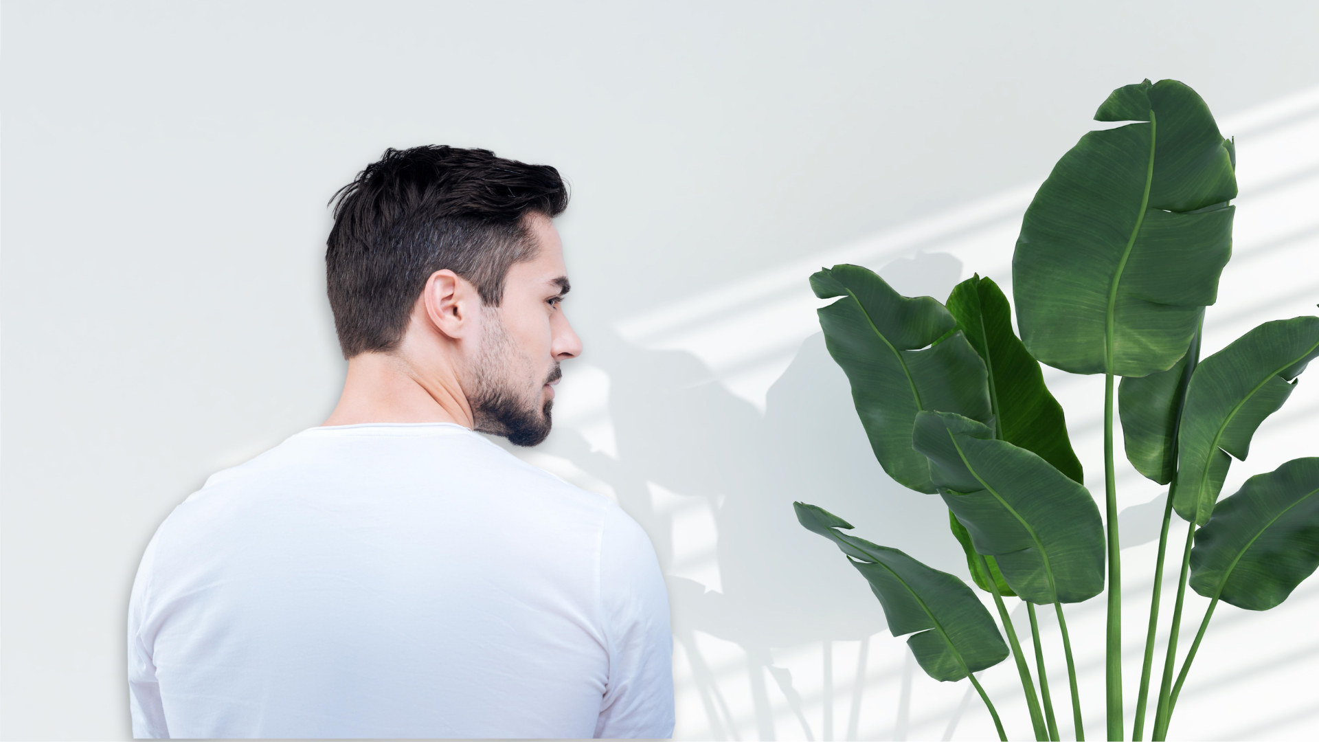 Man sitting with his back turned, peering over his shoulder. Large plant to his right.