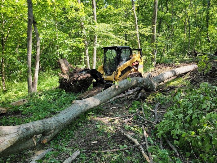 Brush Clearing And Land Mulching In Kansas City, MO