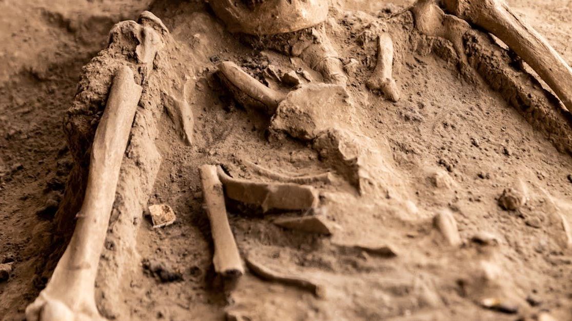 A close up of a skeleton laying in the dirt.