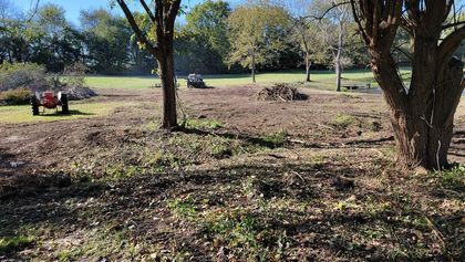 Site Cleanup In Kansas City, MO