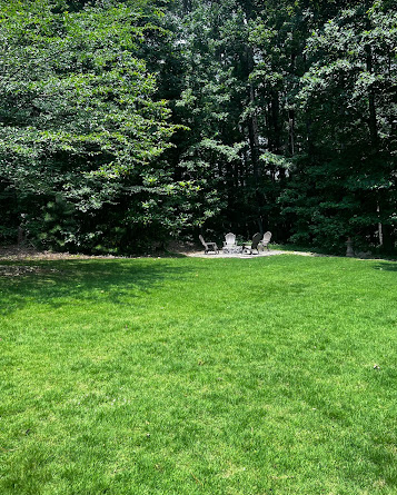 A large lush green field with trees in the background.