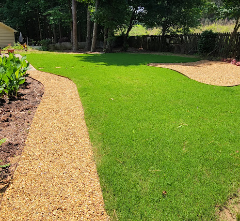 A path leading to a lush green lawn in a backyard.