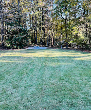 A lush green field with trees in the background.