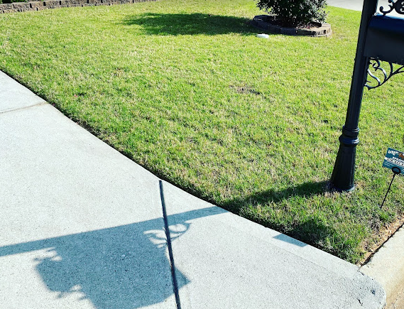 A shadow of a person is cast on a sidewalk next to a mailbox